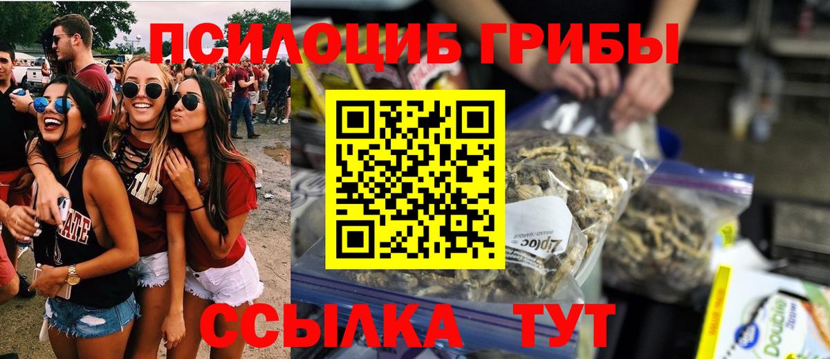 Псилоцибиновые грибы Cubensis  Псилоцибиновые грибы прущие грибы  Кирово-Чепецк  Вход с VPN 
